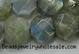 CNG5874 15.5 inches 8*12mm - 12*16mm faceted freeform labradorite beads