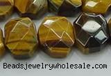 CNG5875 8*12mm - 12*16mm faceted freeform yellow tiger eye beads