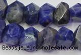 CNG5928 15.5 inches 10*14mm - 13*18mm faceted nuggets sodalite beads