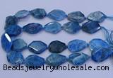 CNG5960 15.5 inches 18*25mm - 25*35mm faceted freeform apatite beads