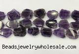 CNG6945 15.5 inches 20*20mm - 25*25mm freeform amethyst beads