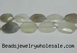 CNG7081 15.5 inches 25*35mm - 35*45mm faceted freeform agate beads