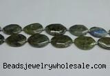 CNG7098 25*35mm - 35*45mm faceted freeform labradorite beads