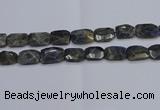 CNG7487 15.5 inches 18*25mm - 20*30mm faceted freeform labradorite beads