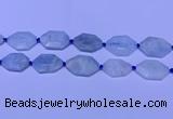 CNG7511 15.5 inches 25*35mm - 30*40mm faceted freeform aquamarine beads