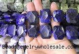 CNG7562 15.5 inches 18*25mm - 20*28mm faceted freeform sodalite beads