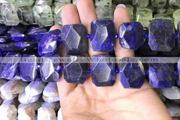 CNG7562 15.5 inches 18*25mm - 20*28mm faceted freeform sodalite beads