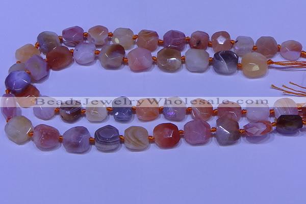 CNG7620 12*14mm - 13*15mm faceted freeform red botswana agate beads