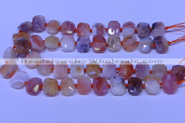 CNG7622 13*18mm - 15*20mm faceted freeform red botswana agate beads