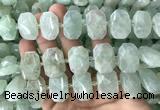 CNG7753 13*18mm - 15*25mm faceted freeform light prehnite beads