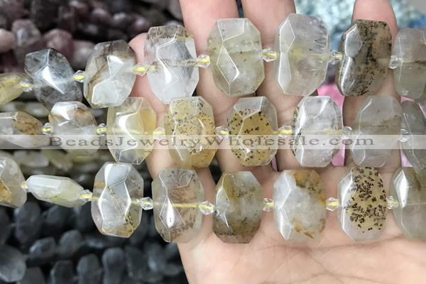 CNG7760 13*18mm - 15*25mm faceted freeform scenic quartz beads