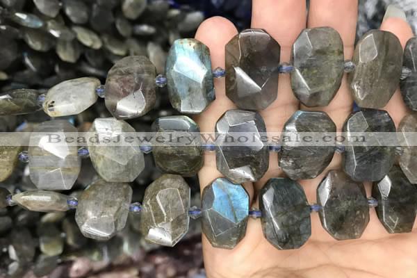 CNG7774 13*18mm - 15*25mm faceted freeform labradorite beads