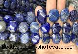 CNG7775 13*18mm - 15*25mm faceted freeform lapis lazuli beads