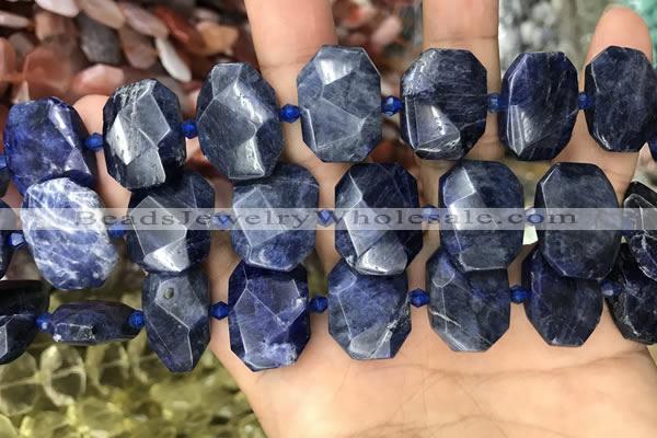 CNG7788 15.5 inches 13*18mm - 15*25mm faceted freeform sodalite beads