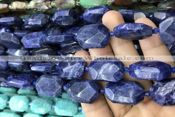 CNG7822 15.5 inches 13*18mm - 18*25mm faceted freeform sodalite beads