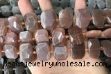 CNG7885 13*18mm - 15*25mm faceted freeform moonstone beads