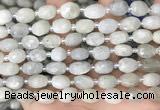 CNG8530 15.5 inches 8*9mm - 9*11mm faceted nuggets moonstone beads