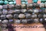 CNG8584 13*18mm - 15*20mm faceted nuggets labradorite beads