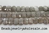 CNG8615 10*13mm - 12*16mm faceted freeform moonstone beads