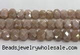 CNG8616 10*13mm - 12*16mm faceted freeform moonstone beads