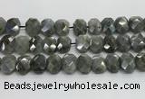 CNG8622 10*13mm - 12*16mm faceted freeform labradorite beads