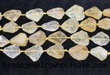 CNG8679 15.5 inches 15*20mm - 23*30mm freeform citrine beads