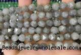 CNG8716 15.5 inches 8mm faceted nuggets labradorite gemstone beads