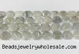 CNG8806 15.5 inches 16mm - 20mm faceted freeform moonstone beads