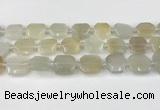 CNG8807 15.5 inches 16mm - 20mm faceted freeform moonstone beads