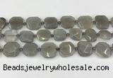 CNG8809 15.5 inches 16mm - 20mm faceted freeform moonstone beads