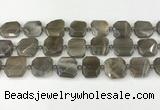 CNG8810 15.5 inches 16mm - 20mm faceted freeform moonstone beads