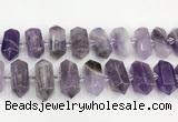 CNG8916 15.5 inches 10*25mm - 15*30mm faceted nuggets amethyst beads