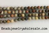 CNI370 15.5 inches 6mm round American picture jasper beads