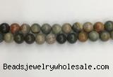 CNI373 15.5 inches 12mm round American picture jasper beads