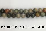 CNI374 15.5 inches 14mm round American picture jasper beads