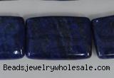 CNL537 15.5 inches 20*30mm rectangle natural lapis lazuli gemstone beads