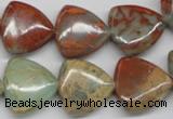 CNS185 15.5 inches 20*20mm triangle natural serpentine jasper beads