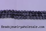 COB563 15.5 inches 10mm round matte snowflake obsidian beads