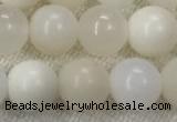 COP1589 15.5 inches 8mm round white opal gemstone beads