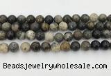 COP1603 15.5 inches 10mm round moss opal beads wholesale