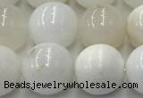 COP1733 15.5 inches 12mm round white opal beads wholesale