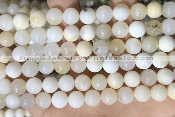 COP1755 15.5 inches 10mm round natural white opal gemstone beads