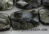 COP491 15.5 inches 20*30mm faceted rectangle natural grey opal beads