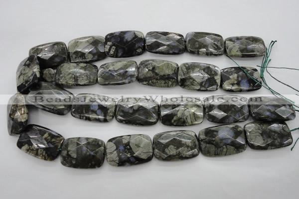 COP491 15.5 inches 20*30mm faceted rectangle natural grey opal beads