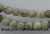 COP802 15.5 inches 8mm round natural African opal beads