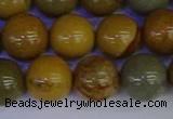 CPJ455 15.5 inches 14mm round wildhorse picture jasper beads