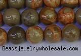 CPJ463 15.5 inches 10mm round African picture jasper beads