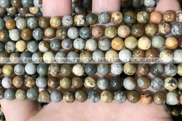 CPJ707 15.5 inches 6mm round rocky butte picture jasper beads