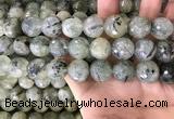 CPR356 15.5 inches 16mm faceted round prehnite beads wholesale