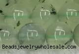 CPR398 15.5 inches 12mm round prehnite gemstone beads